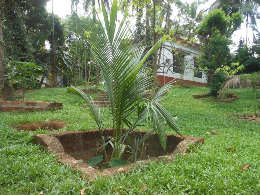 Runnin Airport - Homestay Gurpur Exterior foto