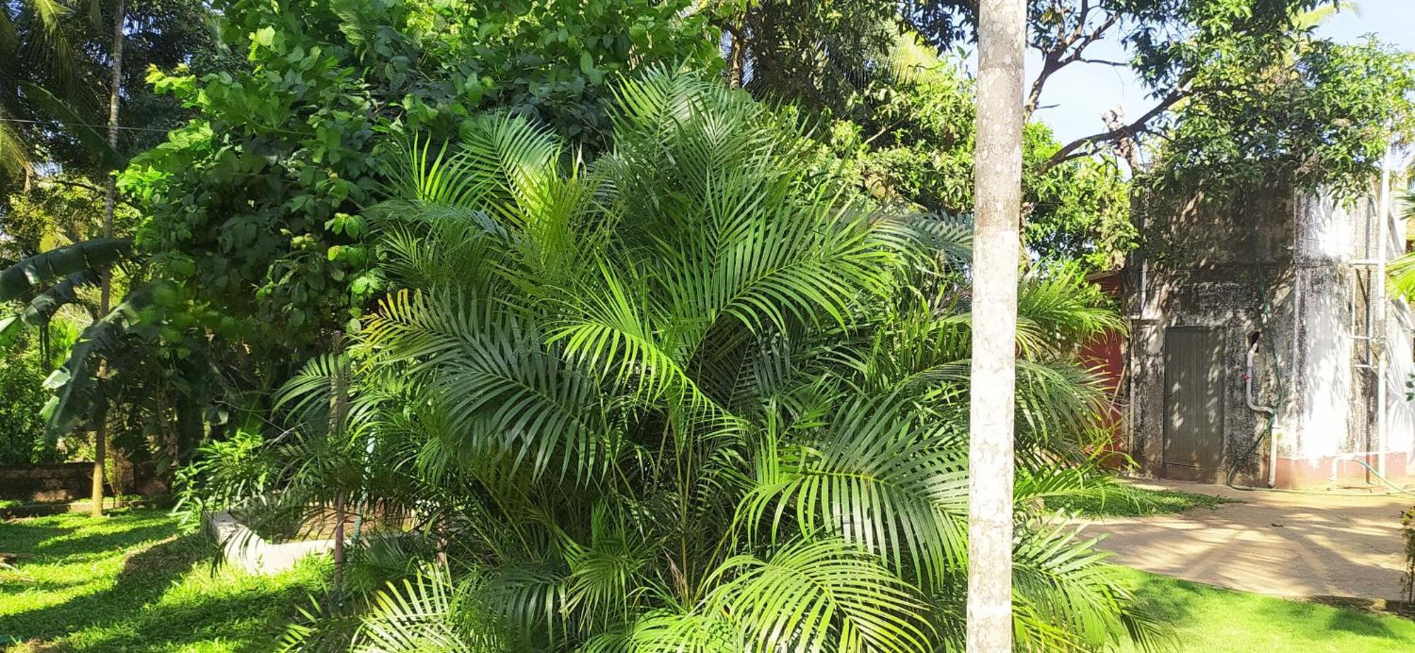 Runnin Airport - Homestay Gurpur Exterior foto